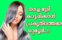 best-natural-remedies-for-grey-hair-revealed