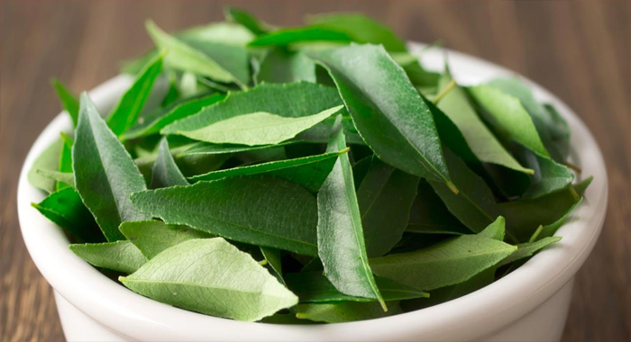 health-benefits-drinking-curry-leaf-boiled-water