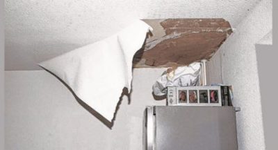 python-puts-owner-in-trouble
