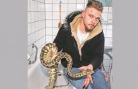 python-puts-owner-in-trouble
