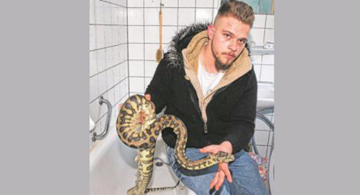 python-puts-owner-in-trouble