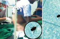doctor-halts-surgery-to-film-cockroach-in-thane-civic-hospitals-operation-theatre-mumbai