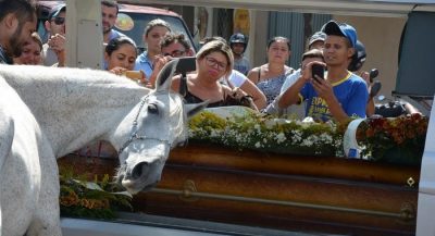 this-horse-saying-goodbye-to-best-friend-at-his-funeral-will-break-your-heart2