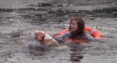 dog-rescued-from-freezing-lake-ice-alexandra-palace-london