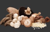 regularly-eating-mushrooms-can-prevent-alzheimers