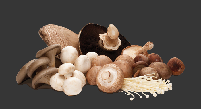 regularly-eating-mushrooms-can-prevent-alzheimers