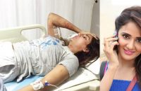 pack-of-six-stray-dogs-attack-kannada-actress-parul
