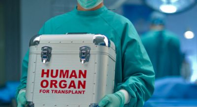 brain-death-and-organ-transplantation-mafia