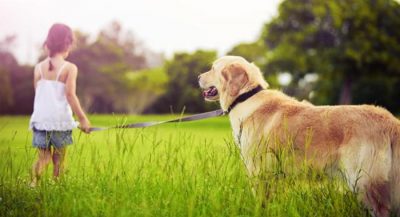 children-feel-more-attached-to-pets-than-to-their-siblings