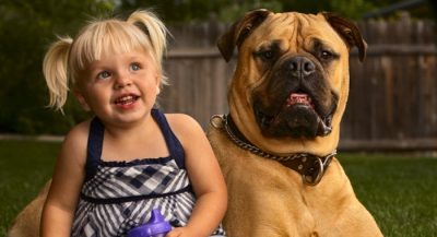 children-feel-more-attached-to-pets-than-to-their-siblings2