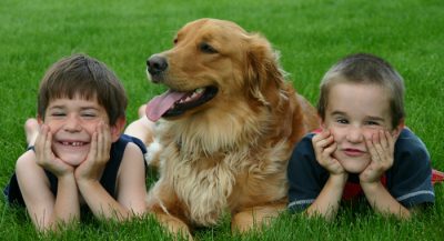 children-feel-more-attached-to-pets-than-to-their-siblings4