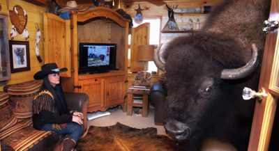 couple-has-house-trained-buffalo-named-wild-thing-as-a-pet1