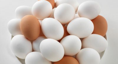 egg