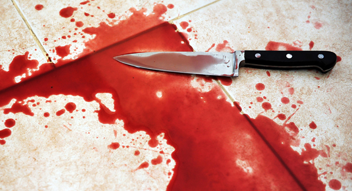 nri-couple-adopts-boy-gets-murdered-insurance-money