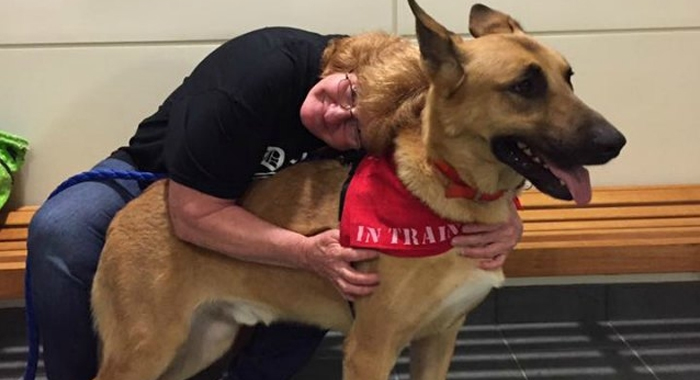 not-a-match-dna-evidence-exonerates-dog-from-death-sentence-in-us