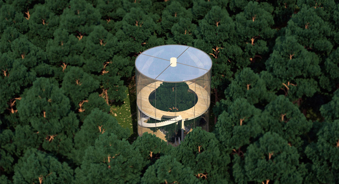 tree-in-the-house-by-almassov-of-a-masow-architects-conceptual-design-cylindrical-glazed3