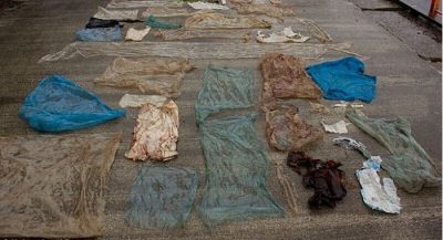 whale-put-down-after-being-found-with-30-plastic-bags-in-its-stomach2