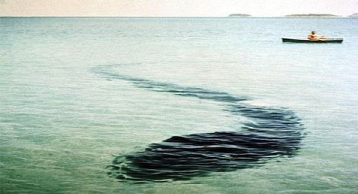 the-hook-island-sea-monster