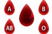 what-does-your-blood-type-say-about-your-personality