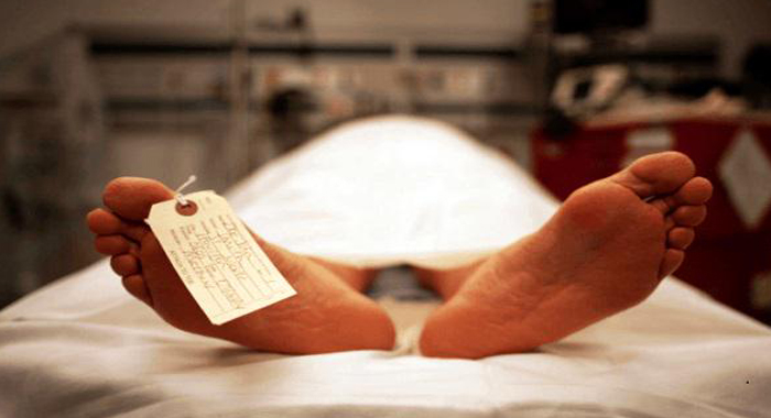 can-animals-predict-death