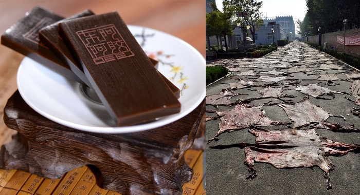 donkey-skin-chinese-medicine-slaughter-price2