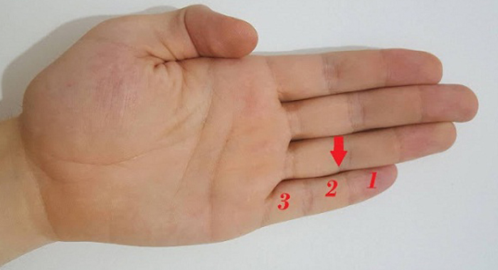 what-these-3-parts-in-the-little-finger-mean