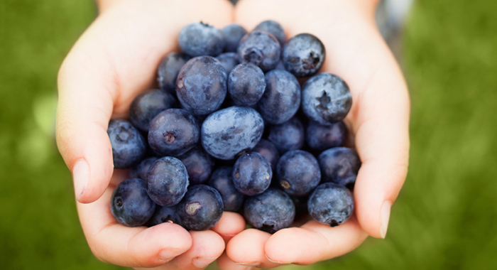blueberry-juice-for-memory