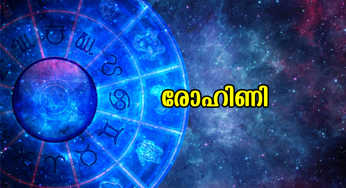 specialties-rohini-star