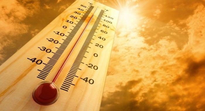 summer-health-problems-preventions