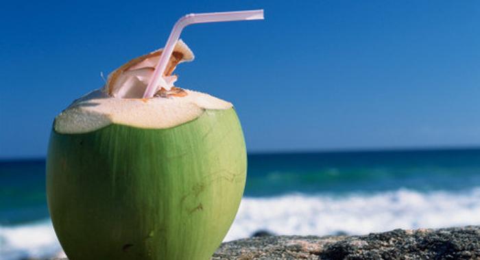 summer-health-problems-preventions4