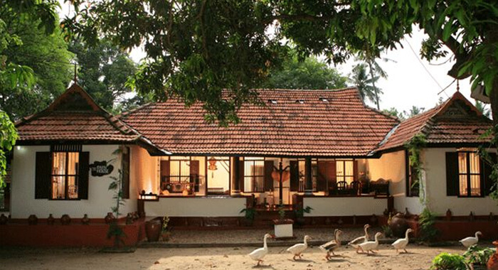 relation-between-vasthu-and-trees