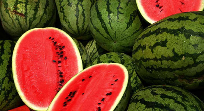 watermelon-and-mango-are-best-to-eat-in-summer-3