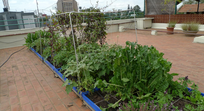 ways-to-cool-your-home-this-summer