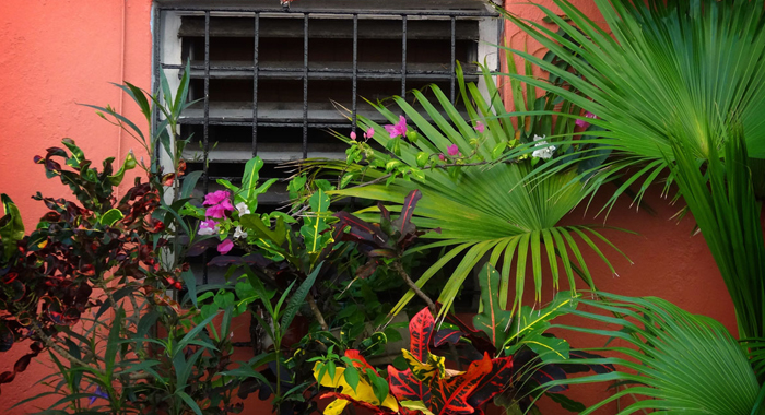 ways-to-cool-your-home-this-summer4