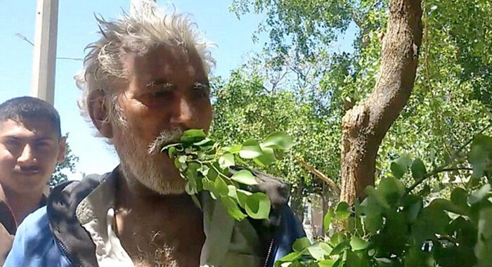 pakistan-man-eats-leaves-fresh-wood-for-25-years-has-never-fallen-ill