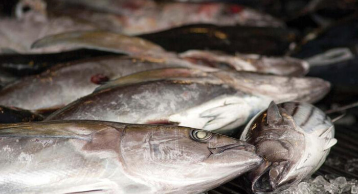 deadly-chemicals-used-to-keep-fish-fresh