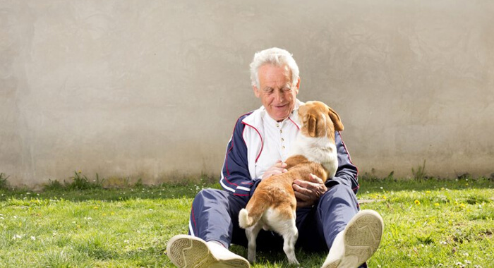 dog-helps-older-people-active