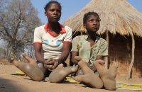 feature-the-ostrich-people-of-zimbabwe