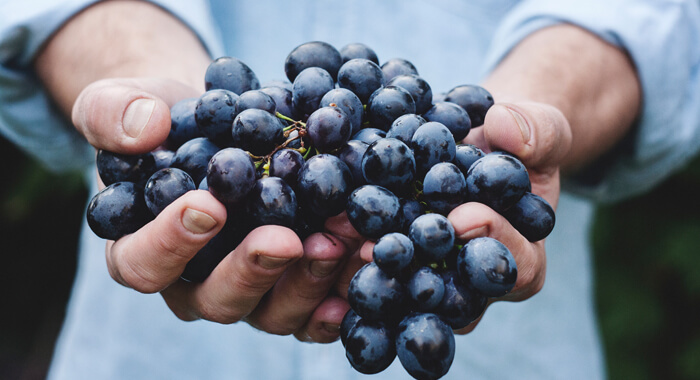 grapes-prevent-colon-cancer