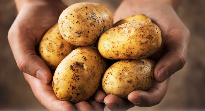 potatoes-had-black-areas