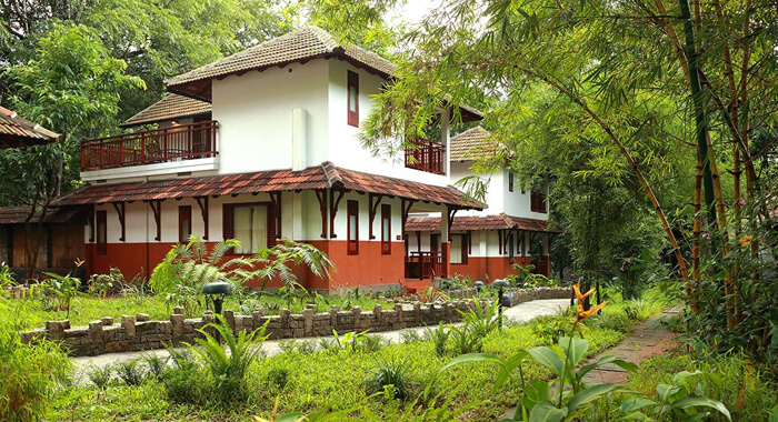 trees-in-home-and-vasthu