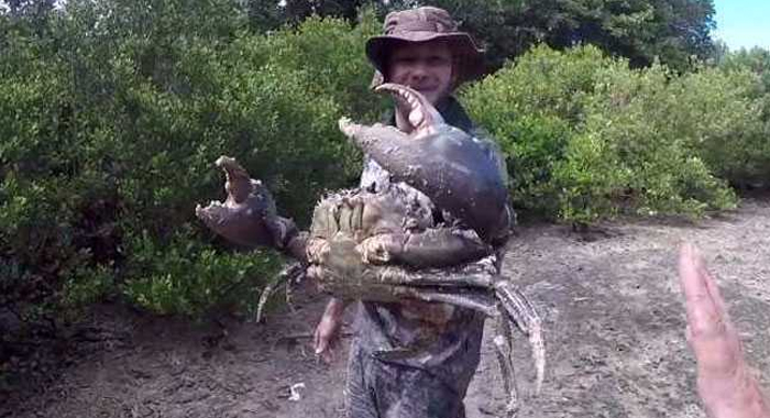 man-crawls-into-hole-to-pull-out-huge-mud-crab