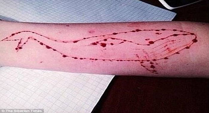 there-is-no-blue-whale-game-says-ig-manoj-abraham