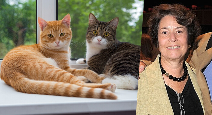 new-york-woman-leaves-300000-two-cats-will