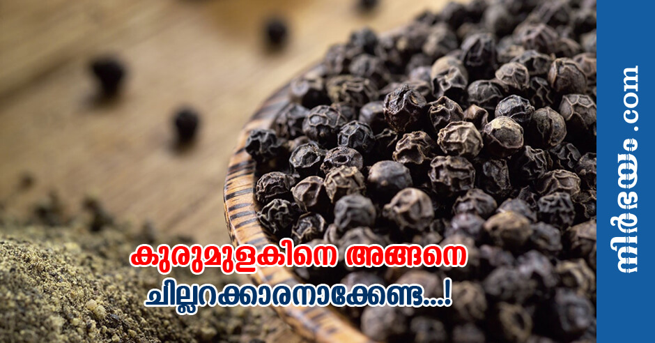 black-pepper-health-medicinal-benefits