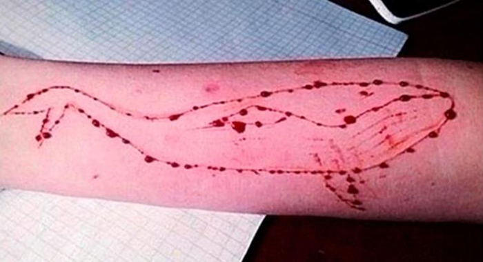 16-year-old-suicide-in-kerala-suspects-blue-whale-game