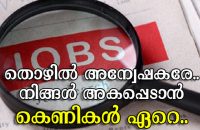 employment-fraud-employment-cheating-things-to-take-care-while-applying-a-job