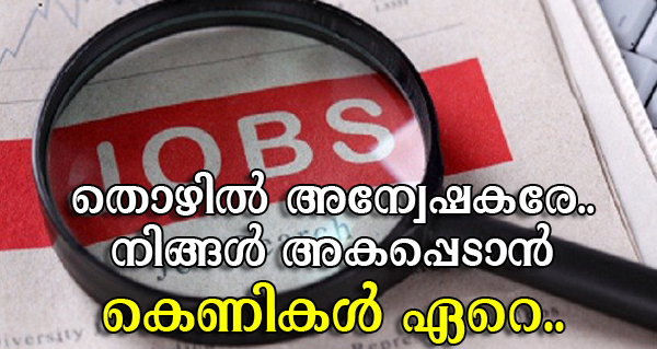 employment-fraud-employment-cheating-things-to-take-care-while-applying-a-job