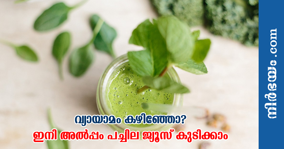 juices-made-from-herbs-being-sold-at-bangalore-parks