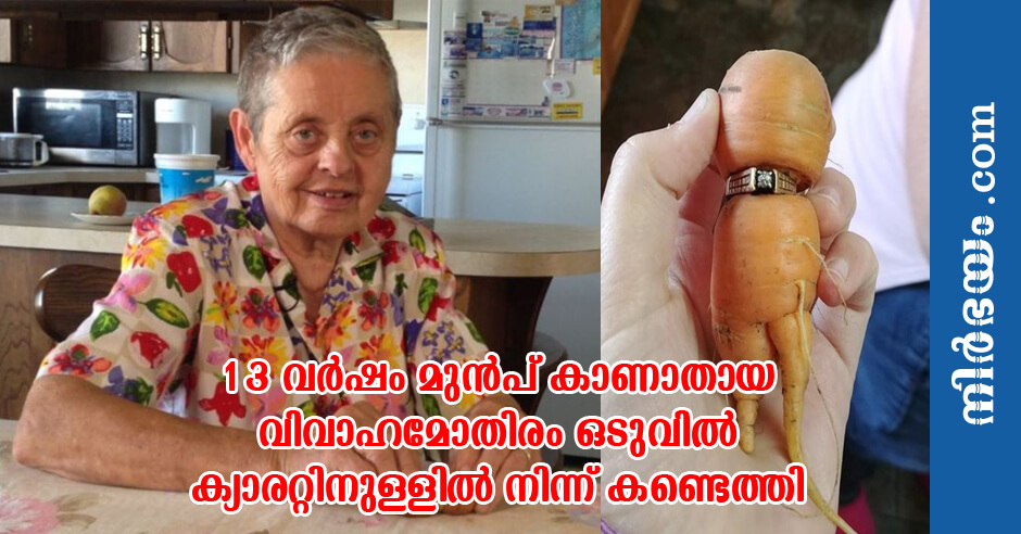 carats-to-carrots-woman-finds-long-lost-diamond-ring-in-garden